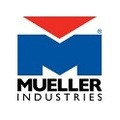Mueller