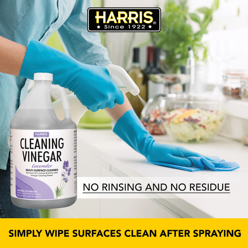 Arocep Cleaning Vinegar