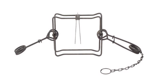 #300 Large Body-Grip Animal Trap For Beavers - No. 8680837 #300 Large Body-Grip Animal Trap For Beavers - No. 8680837