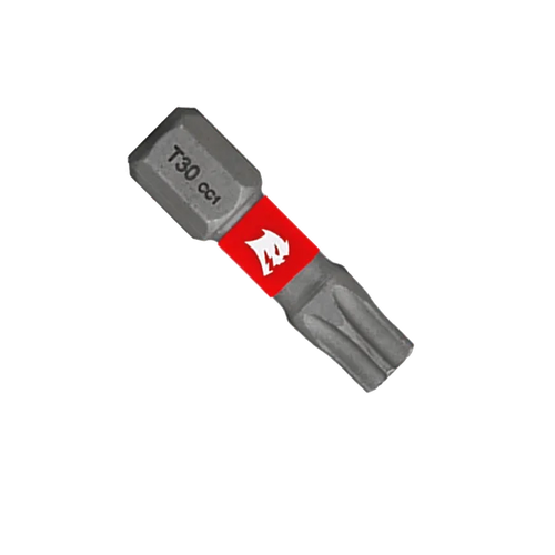 1 in. #30 Torx Drive Bits 2 Pack - No. DT301P2 1 in. #30 Torx Drive Bits 2 Pack - No. DT301P2