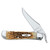 Amber Bone SS RussLock® Knife - No. #260 (61953L SS)