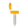 NPY50