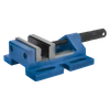 100DV.V4