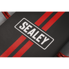 SCR75.V4_ACT_SEALEY_LOGO