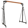 SG500
