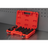 SX054_ACT_IN_CASE_OPEN
