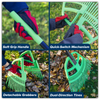 GTLG2_ACT_MULTI_IMAGE_INFOGRAPHIC