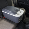 DL167_ACT_IN_CAR_PIC2