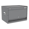 APMSC1