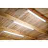 LED50BL_ACT_IN_USE_PIC2