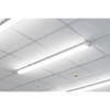 LED50BL_ACT_IN_USE_PIC3