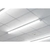 LED50BL_ACT_IN_USE_PIC3