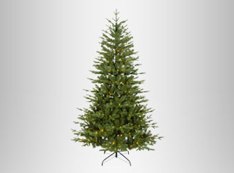 Christmas Trees Christmas Trees