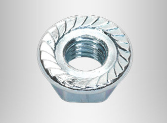 Flange Nuts Flange Nuts