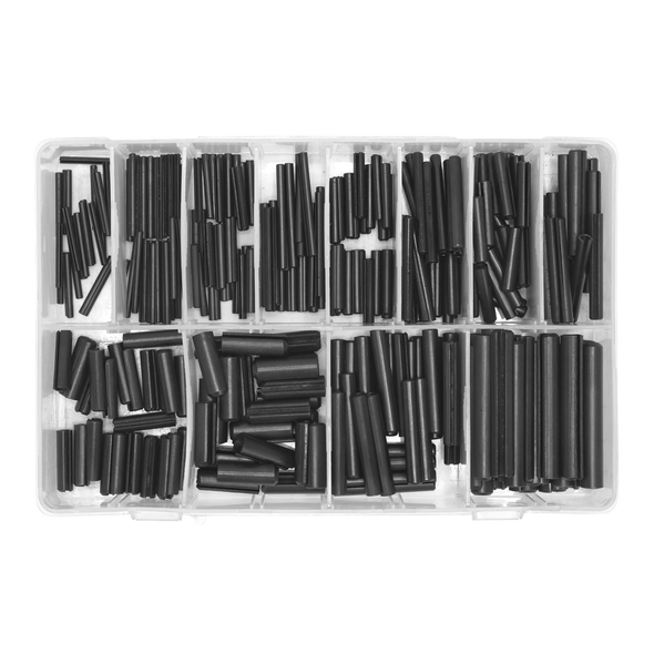 AB006RP.V2_STRAIGHT AB006RP.V2_STRAIGHT