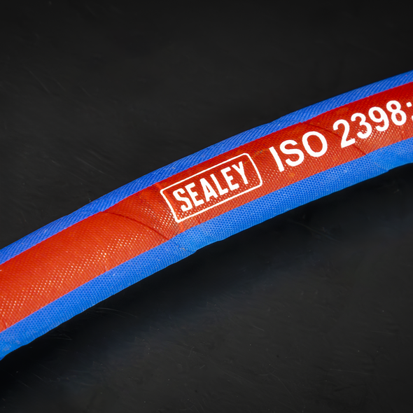 AH10R-38.V4_ACT_SEALEY_LOGO