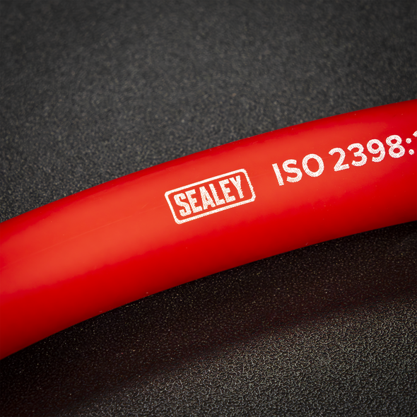 AHC1038.V5_ACT_SEALEY_LOGO