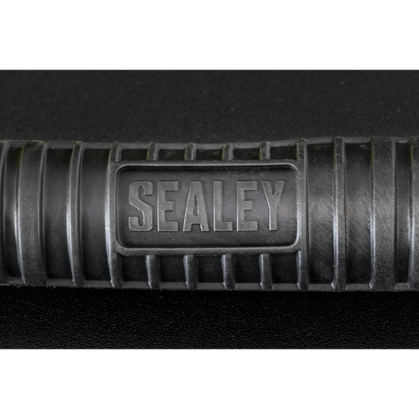 AHFC20.V2_ACT_SEALEY_LOGO_PIC2