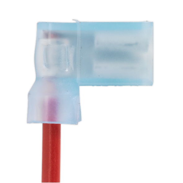 AK3858-A4_TERMINAL.png