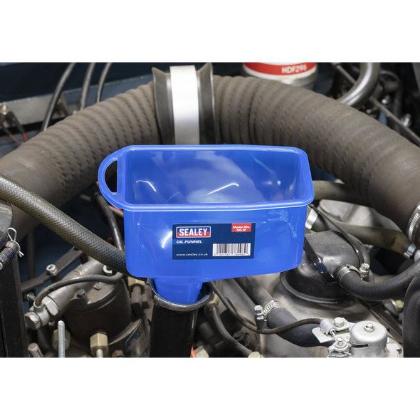 OIL1F_ACT_IN_SITU_PIC1