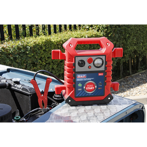 RS125.V4_ACT_IN_SITU