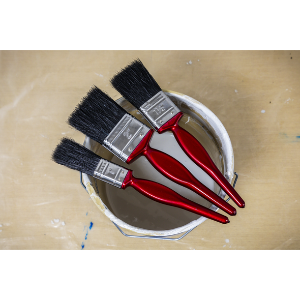 SPBS9_ACT_IN_SITU_PIC2