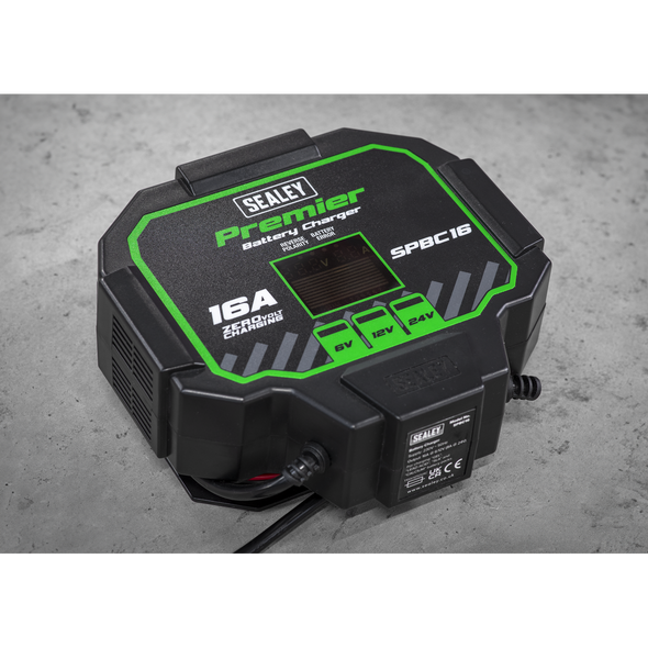 SPBC16.V2_ACT_IN_SITU