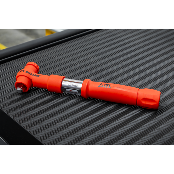 STW805.V2_ACT_IN_SITU