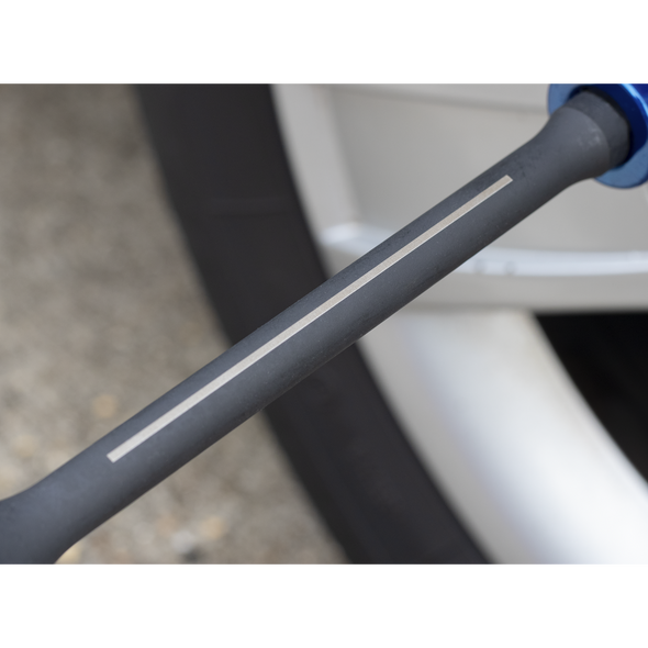 VS2246_ACT_IN_USE_PIC3