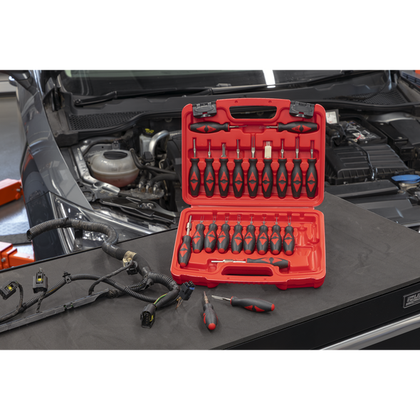 VS9203_ACT_IN_SITU_LANDSCAPE