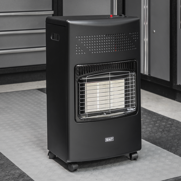 CH4200.V3_ACT_IN_SITU