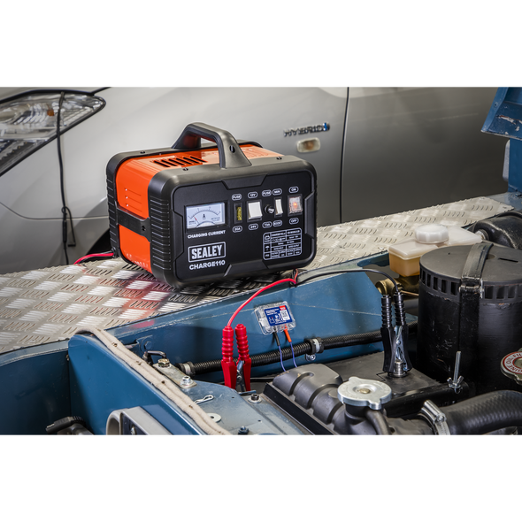 CHARGE110.V3_ACT_IN_SITU