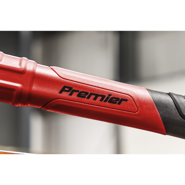 DBH01.V2_ACT_PREMIER_LOGO