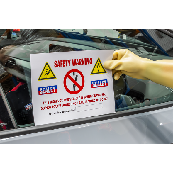 HYBRIDSIGN_ACT_IN_USE_PIC4