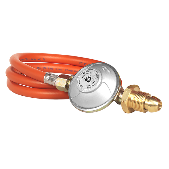 LP100.V7_HOSE_AND_REGULATOR_PIC2