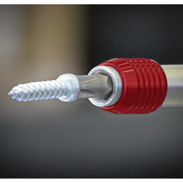 AK49252.V2_ACT_HOLDING_SCREW_CLOSE_UP