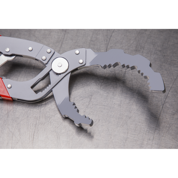 AK6421_ACT_CLOSE_UP_JAWS