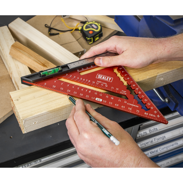 AK9008_ACT_IN_USE