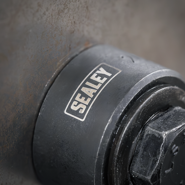 HCPS20_ACT_SEALEY_LOGO