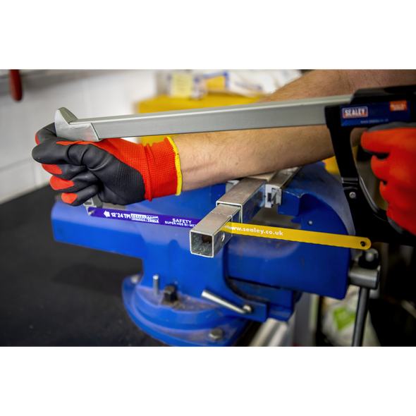 HSB0524_ACT_IN_USE_PIC2