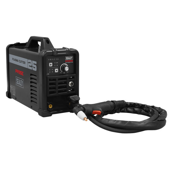 PP25E_WITH_TORCH_PIC2