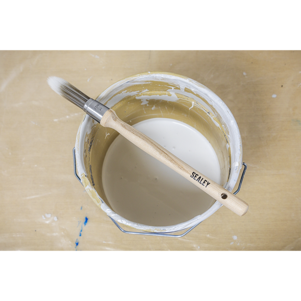 SPBS15R_ACT_IN_SITU_PIC2