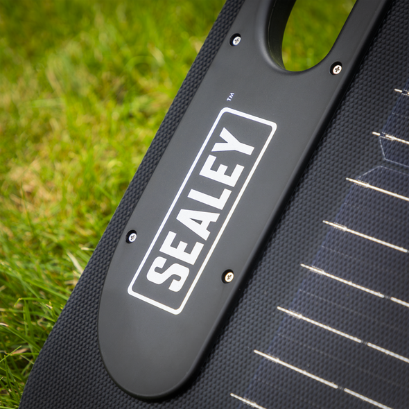 SPP110_ACT_SEALEY_LOGO