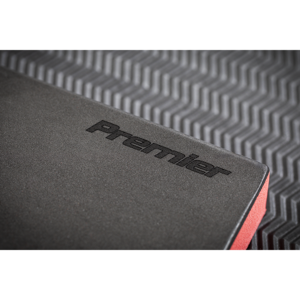 TBTE06_ACT_PREMIER_LOGO