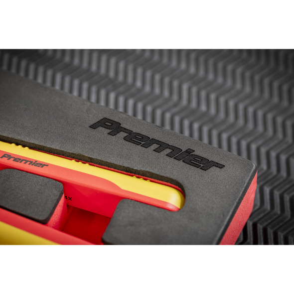 TBTE07_ACT_PREMIER_LOGO