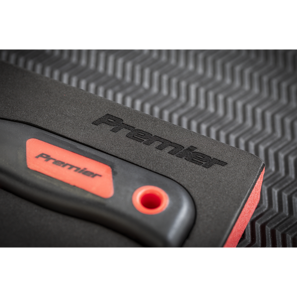 TBTE09_ACT_PREMIER_LOGO