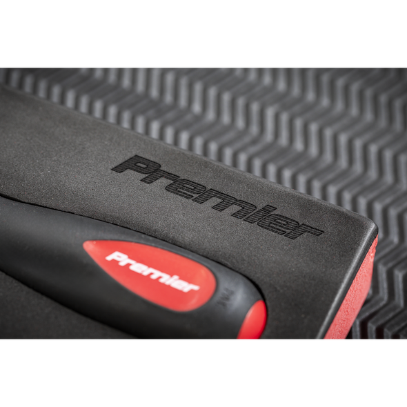 TBTE04_ACT_PREMIER_LOGO