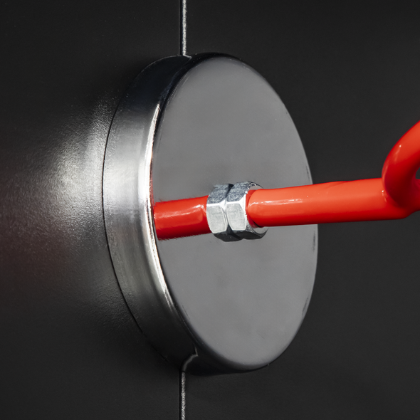 MSH01_ACT_MAGNET_IN_SITU