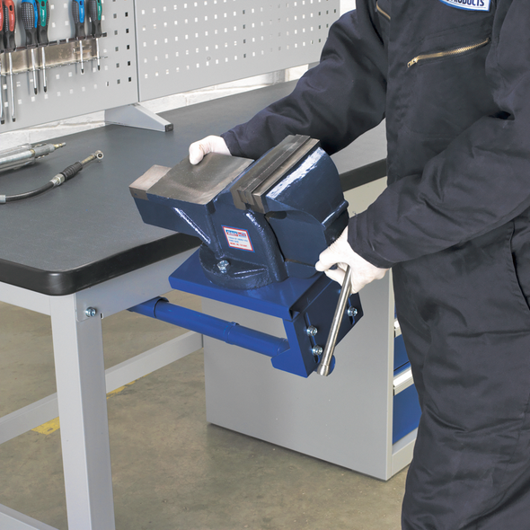 API10_ACT_MOVING_VICE_PIC2