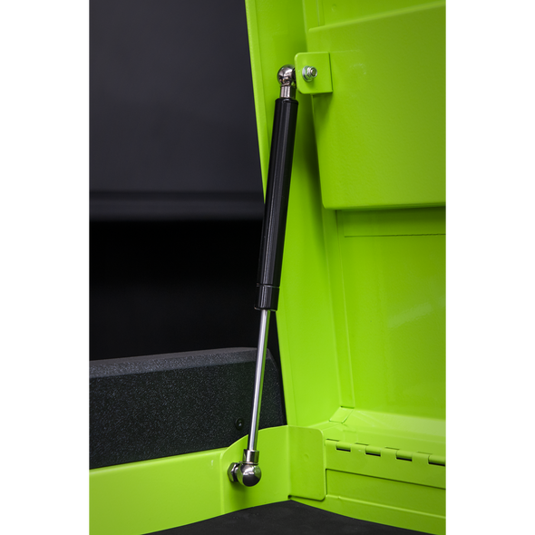 APPDSTACKG_ACT_GAS_STRUTS